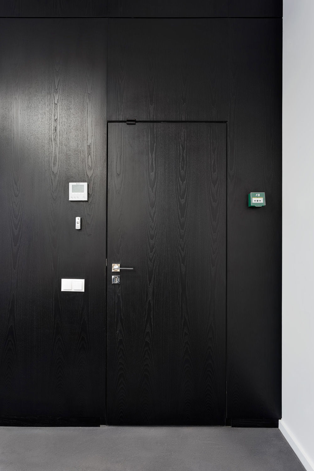 Фото Шпонированные двери Regina