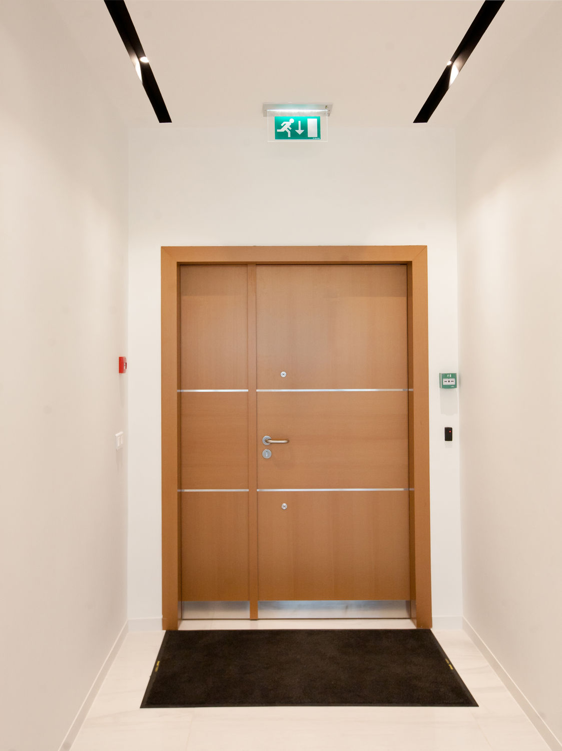 Фото Шпонированные двери Regina