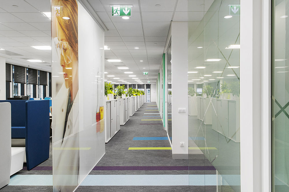 Фото Цельностеклянные перегородки NAYADA-Crystal