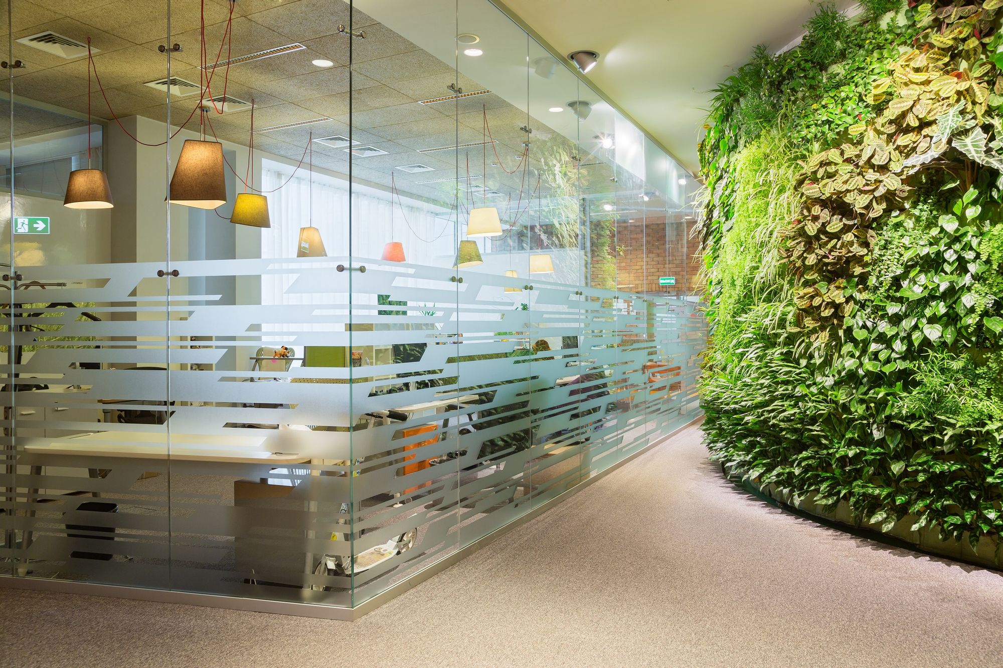 Фото Цельностеклянные перегородки NAYADA-Crystal