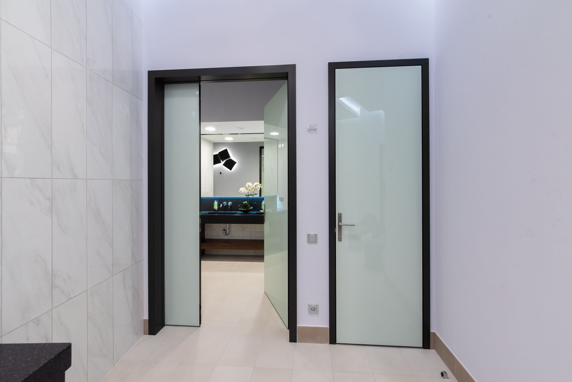 Фото Стеклянные двери Intero N