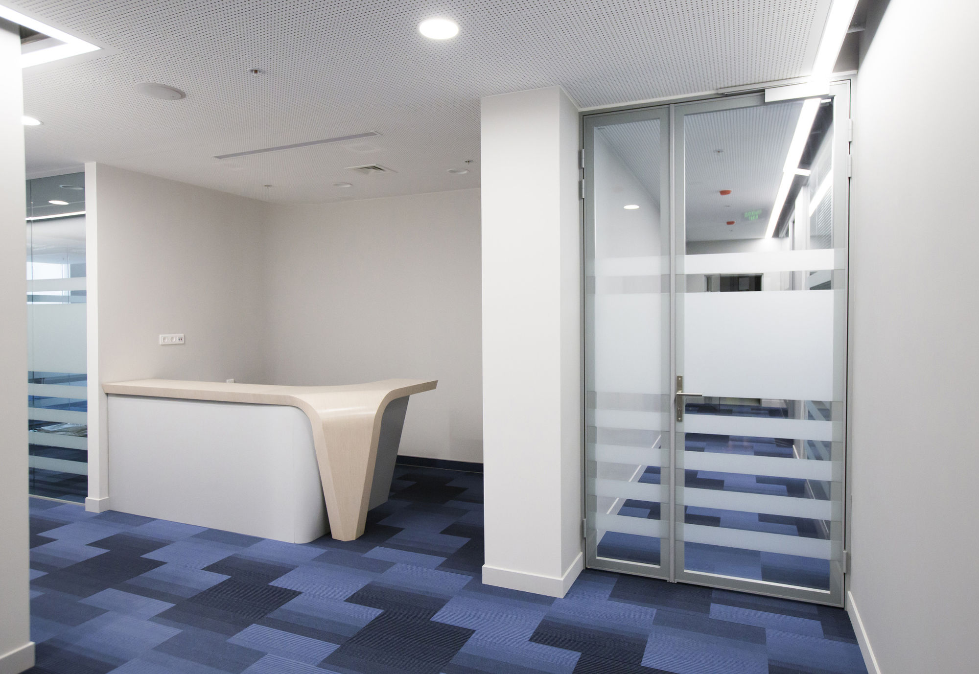 Фото Двери из стекла и ЛДСП NAYADA-Vitero