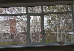 Пластиковые окна и двери в проекте Пластиковые окна Ivaper для Фармсинтез